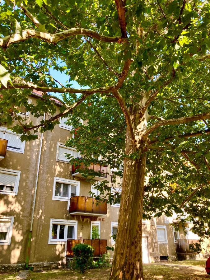 Esther Apartman Татабанья Екстер'єр фото
